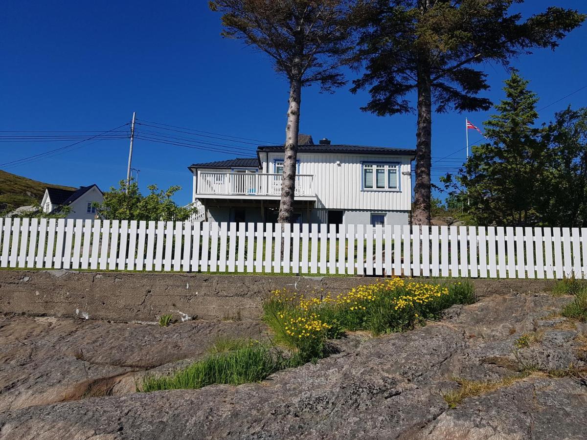 Villa Knut Ellingsen à Reine Extérieur photo